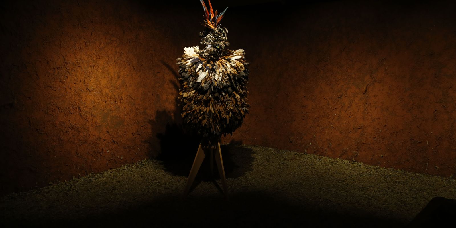 com-o-manto,-agora-vamos-demarcar-nossa-terra,-diz-cacique-tupinamba