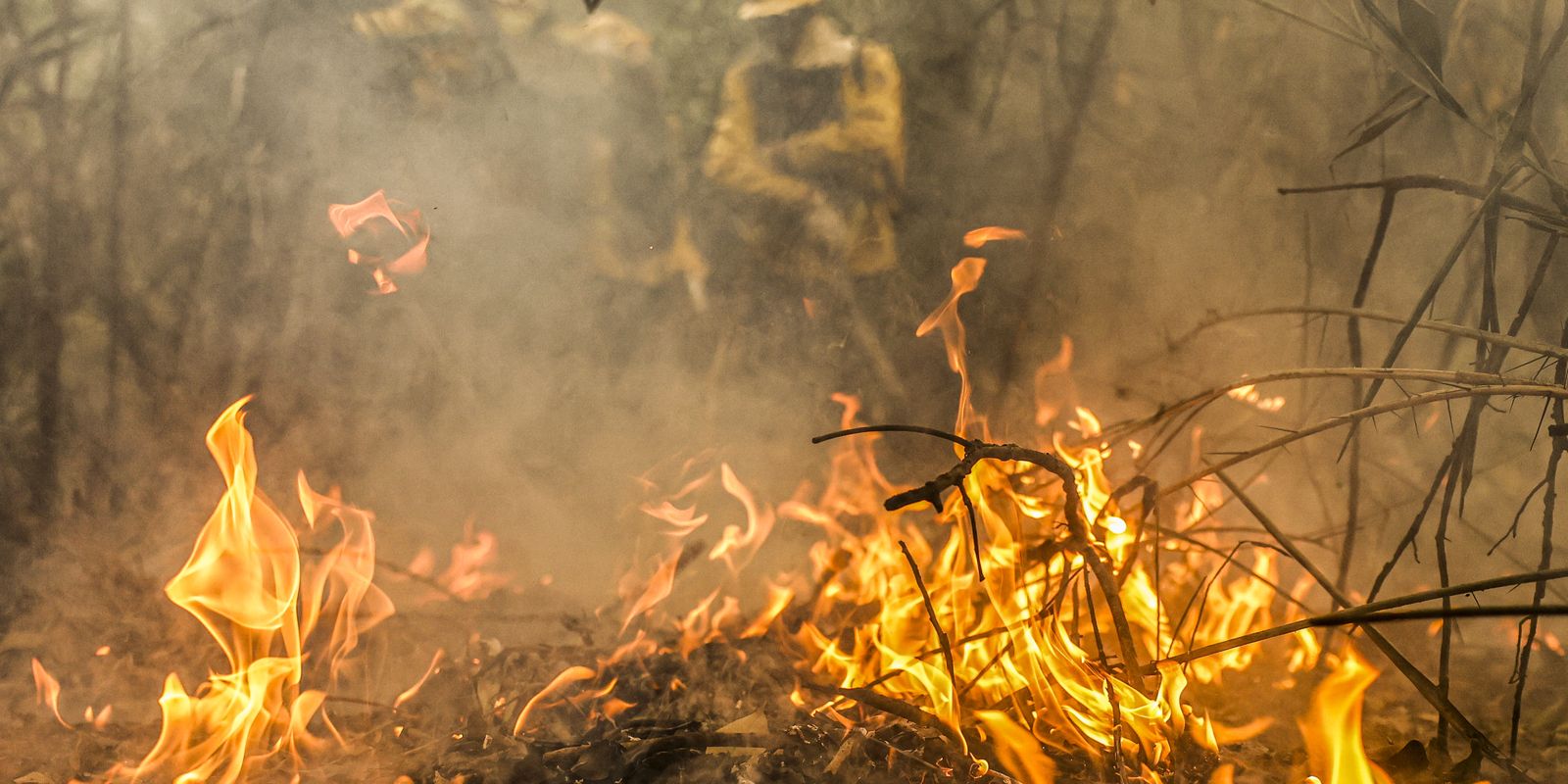 governo-destina-r$-137,6-milhoes-para-combate-a-queimadas-no-pantanal