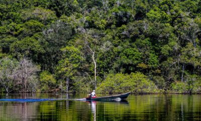 hepatite-delta-avanca-entre-ribeirinhos-no-amazonas