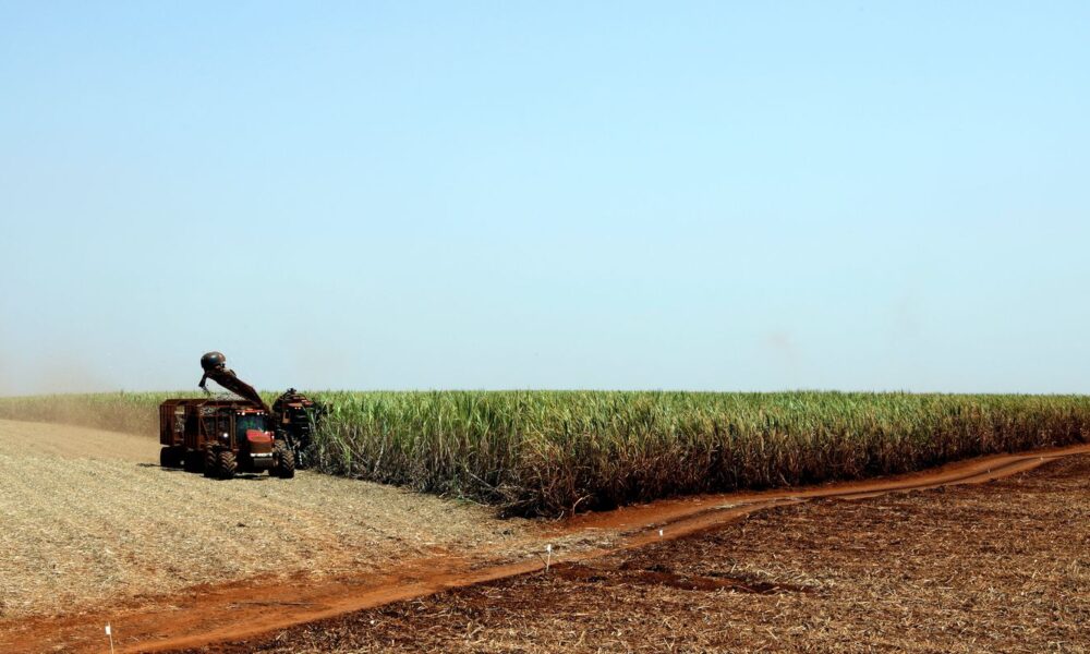 governo-libera-r$-210-milhoes-para-o-seguro-rural-no-rio-grande-do-sul