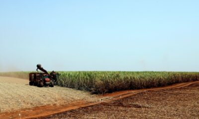 governo-libera-r$-210-milhoes-para-o-seguro-rural-no-rio-grande-do-sul