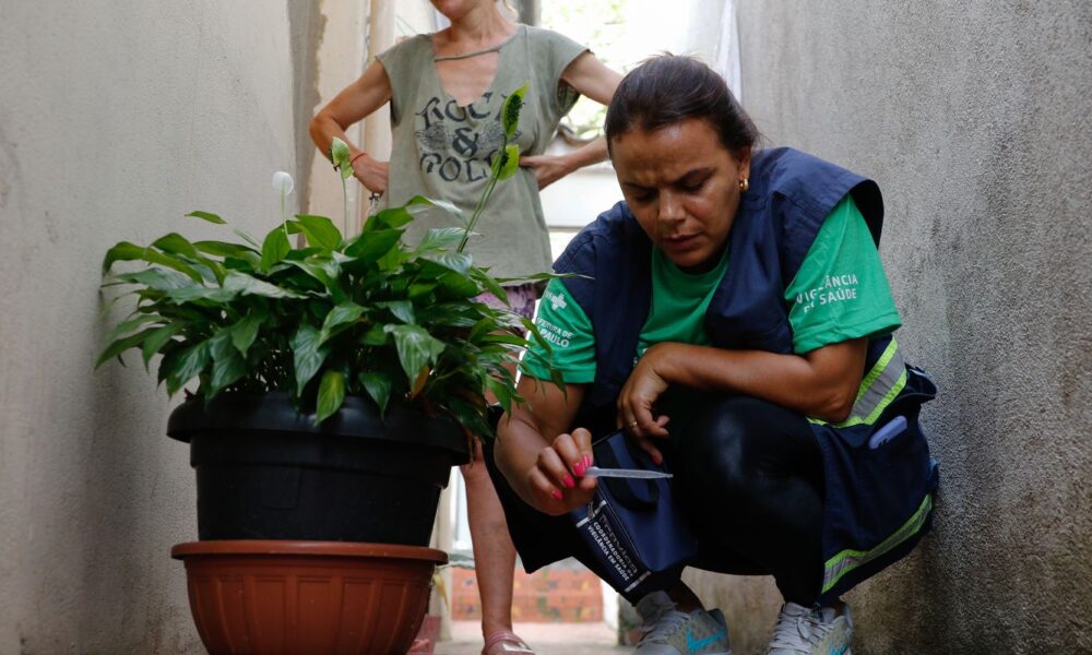 brasil-se-aproxima-de-5-mil-mortes-por-dengue-em-2024