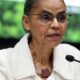 alertas-de-desmatamento-na-amazonia-caem-46%-em-um-ano