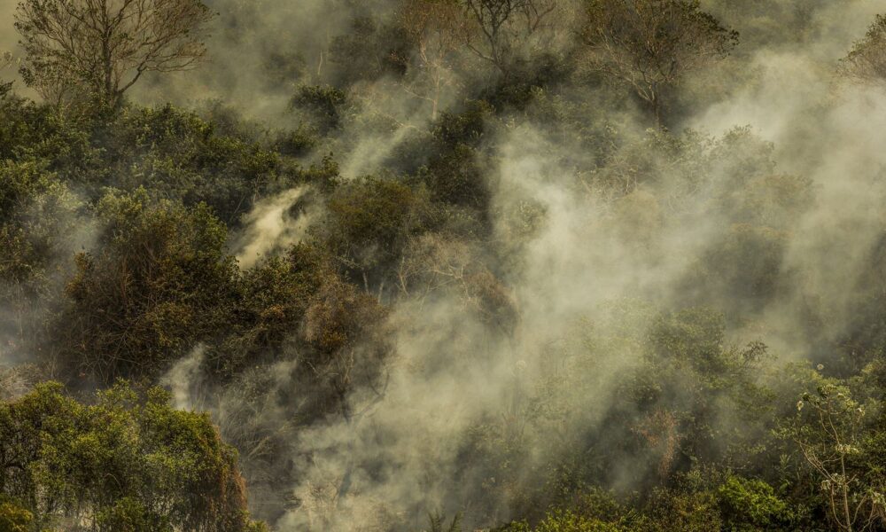 rondonia-declara-situacao-de-emergencia-por-incendios-florestais