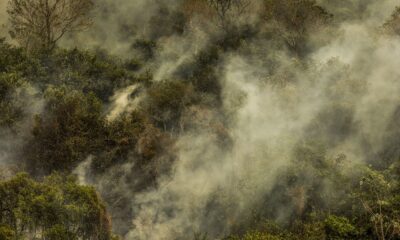 rondonia-declara-situacao-de-emergencia-por-incendios-florestais