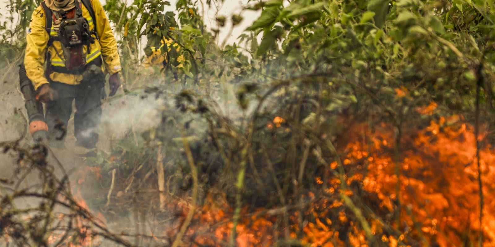 brasil-ja-registrou-mais-de-154-mil-focos-de-calor-este-ano