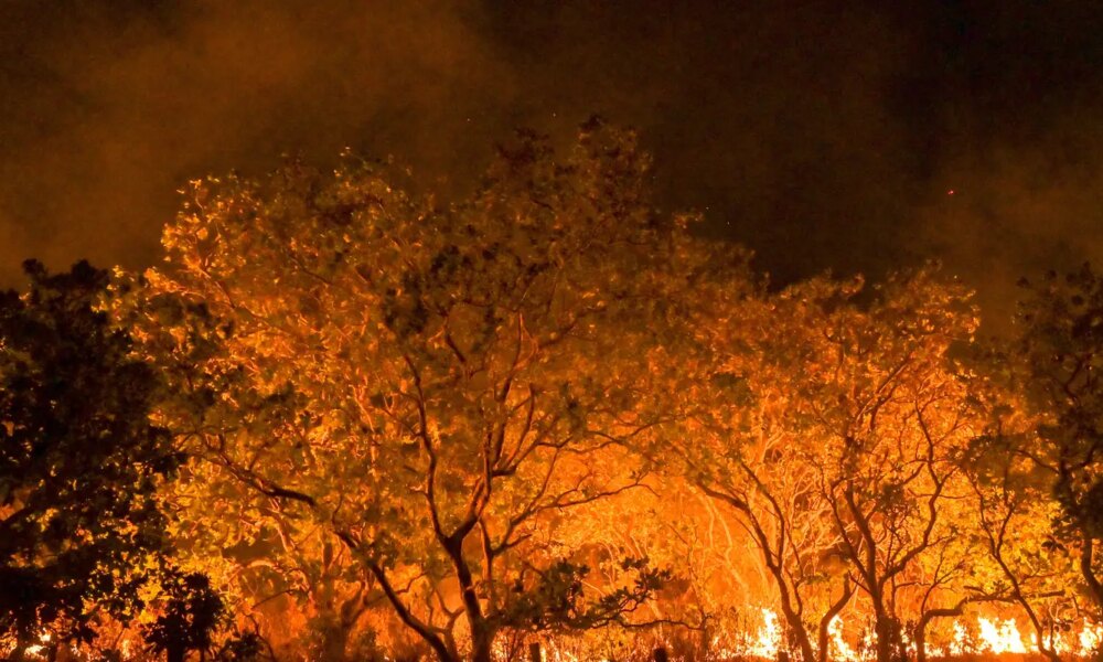 mpf-abriu-mais-de-190-investigacoes-sobre-queimadas-em-um-ano