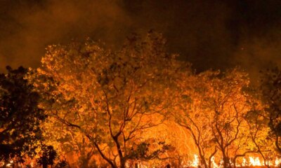 mpf-abriu-mais-de-190-investigacoes-sobre-queimadas-em-um-ano