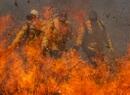 ministerio-da-justica-pede-envio-de-brigadistas-para-combater-queimadas-na-amazonia-e-pantanal