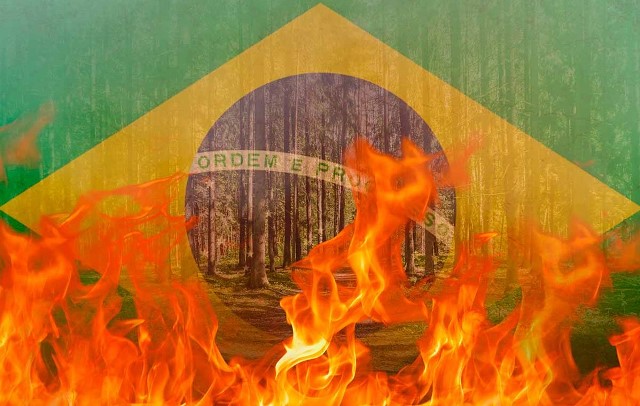 ribeiro-arce:-'incendio,-fumaca,-pouca-acao-governamental-e-sociedade-calada'-–-folha-de-dourados-–-noticias-de-dourados-ms-e-regiao