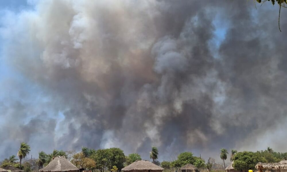 indigenas-de-mt-lutam-por-sobrevivencia-apos-um-mes-de-queimadas