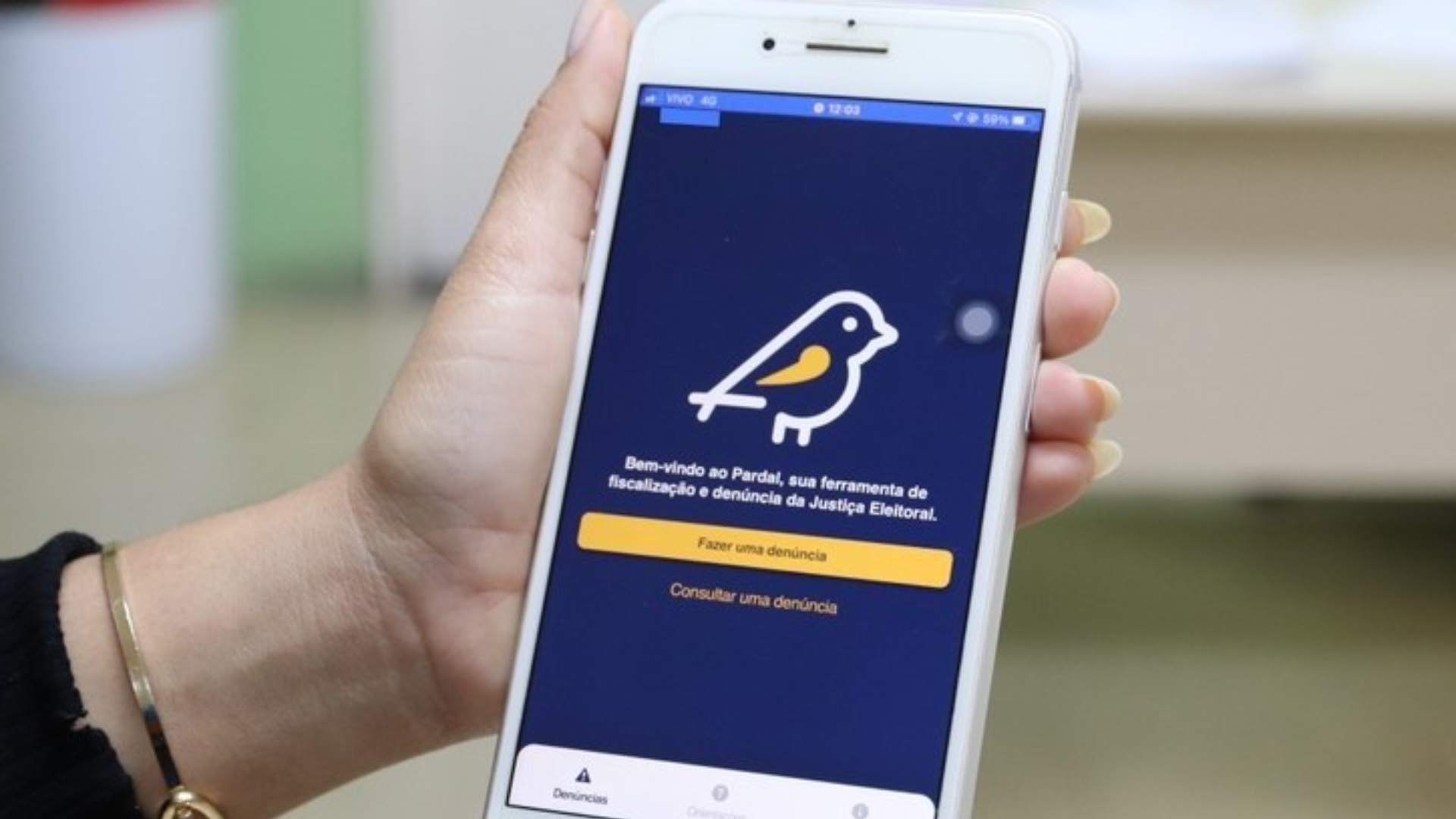 eleicoes-2024:-numero-de-denuncias-de-propaganda-eleitoral-irregular-sobe-para-810-em-ms