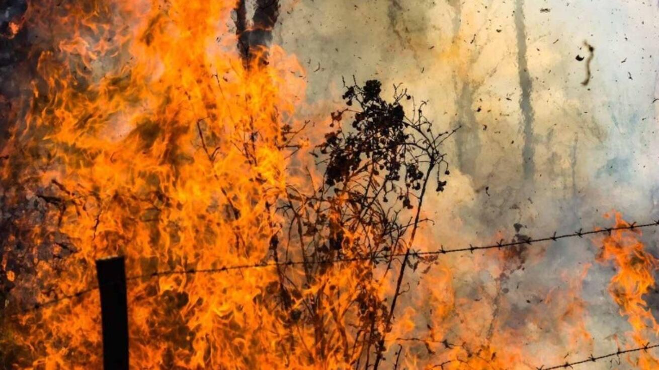 dois-sao-presos-em-flagrante-por-incendio-em-vegetacao-no-nova-lima