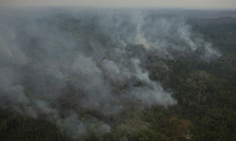 agu-cobra-r$-89-milhoes-de-acusados-de-causar-queimadas-na-amazonia