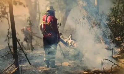 chuva-contribui-para-extincao-de-incendios-florestais,-mas-equipes-continuam-mobilizadas-–-folha-de-dourados-–-noticias-de-dourados-ms-e-regiao
