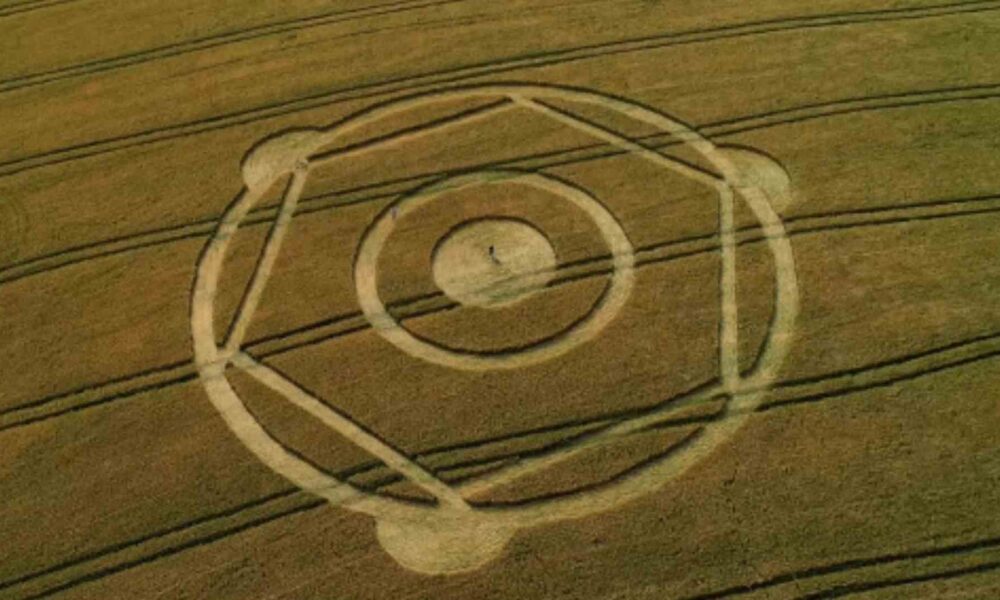 sinais-alienigenas?-marcas-voltam-a-aparecer-em-plantacao-de-santa-catarina-e-reacende-misterio