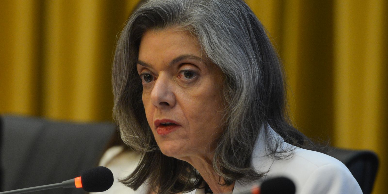 carmen-lucia-afirma-que-voto-e-instrumento-da-democracia