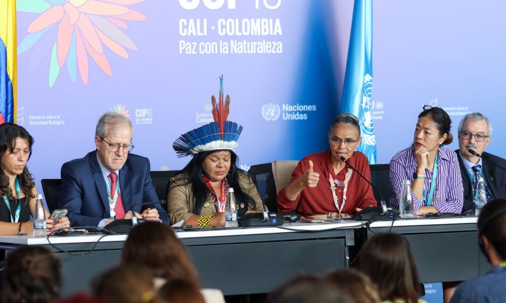 cop16-cria-orgao-para-atender-povos-indigenas-e-quilombolas