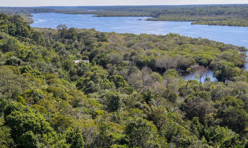 g9:-indigenas-defendem demarcacao-para-reduzir-danos-climaticos