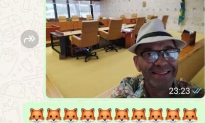 autor-de-ataque-em-brasilia-visitou-stf:-'deixaram-a-raposa-entrar-no-galinheiro'