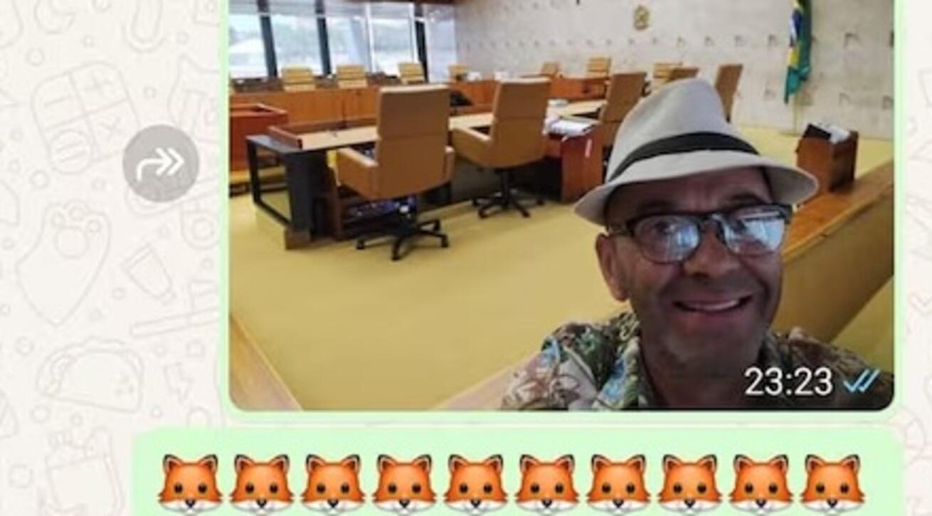 autor-de-ataque-em-brasilia-visitou-stf:-'deixaram-a-raposa-entrar-no-galinheiro'