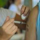 infogripe-alerta-sobre-casos-de-rinovirus-no-norte-e-nordeste