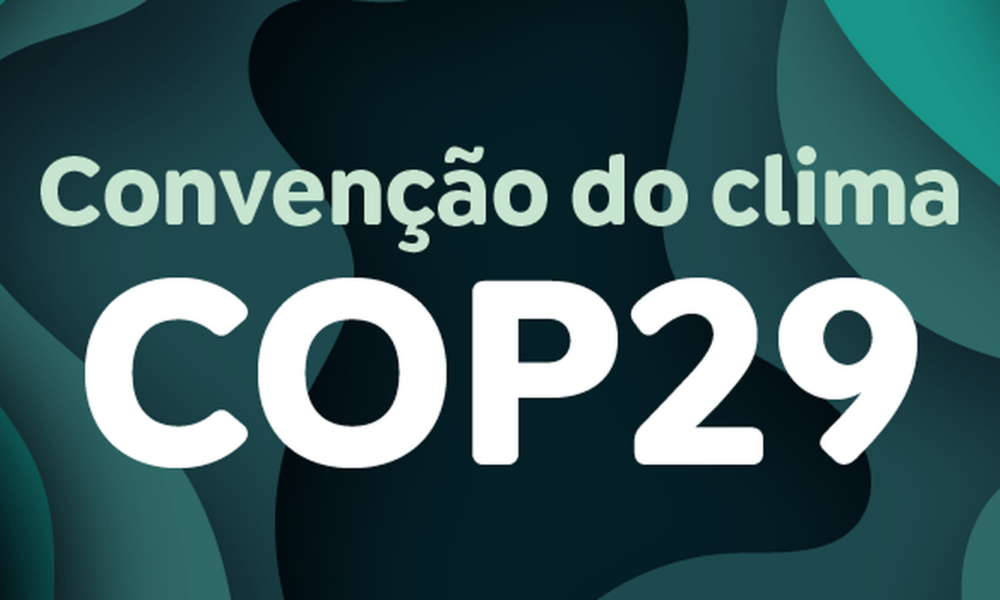 ambientalistas-dizem-que-acordo-da-cop29-e-insuficiente