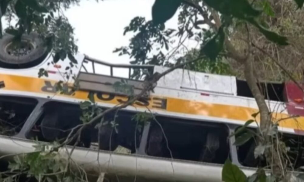 al:-acidente-com-onibus-de-turismo-deixa-18-mortos-a-caminho-do-quilombo-dos-palmares-–-folha-de-dourados-–-noticias-de-dourados-ms-e-regiao