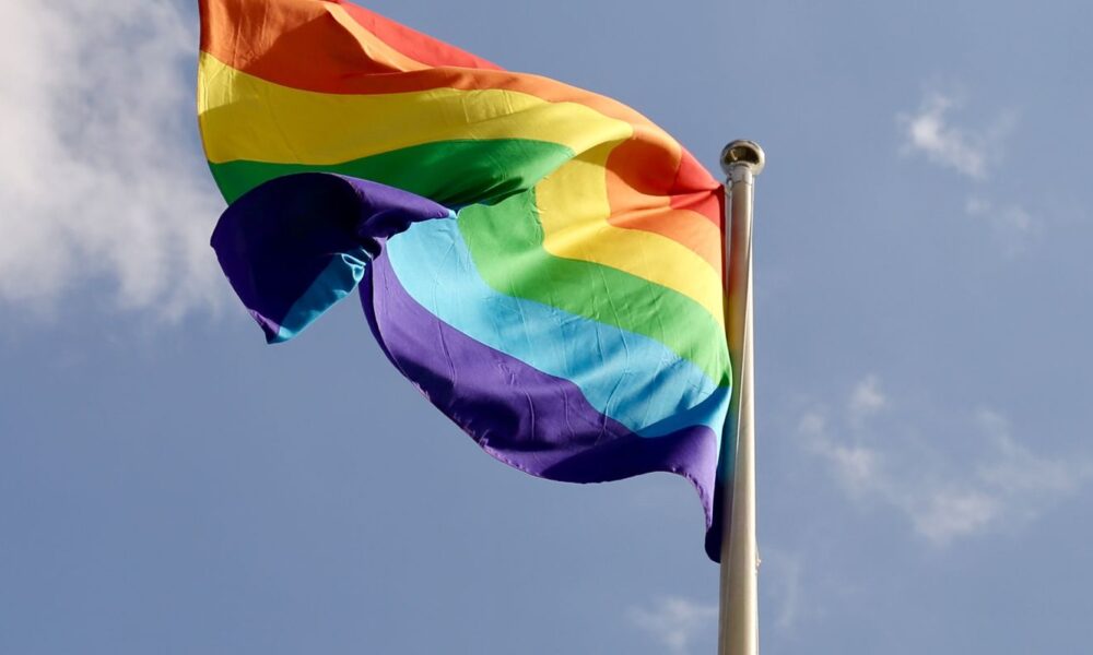 em-2024,-60%-dos-projetos-de-lei-sobre-lgbt-eram-a-favor-da-comunidade