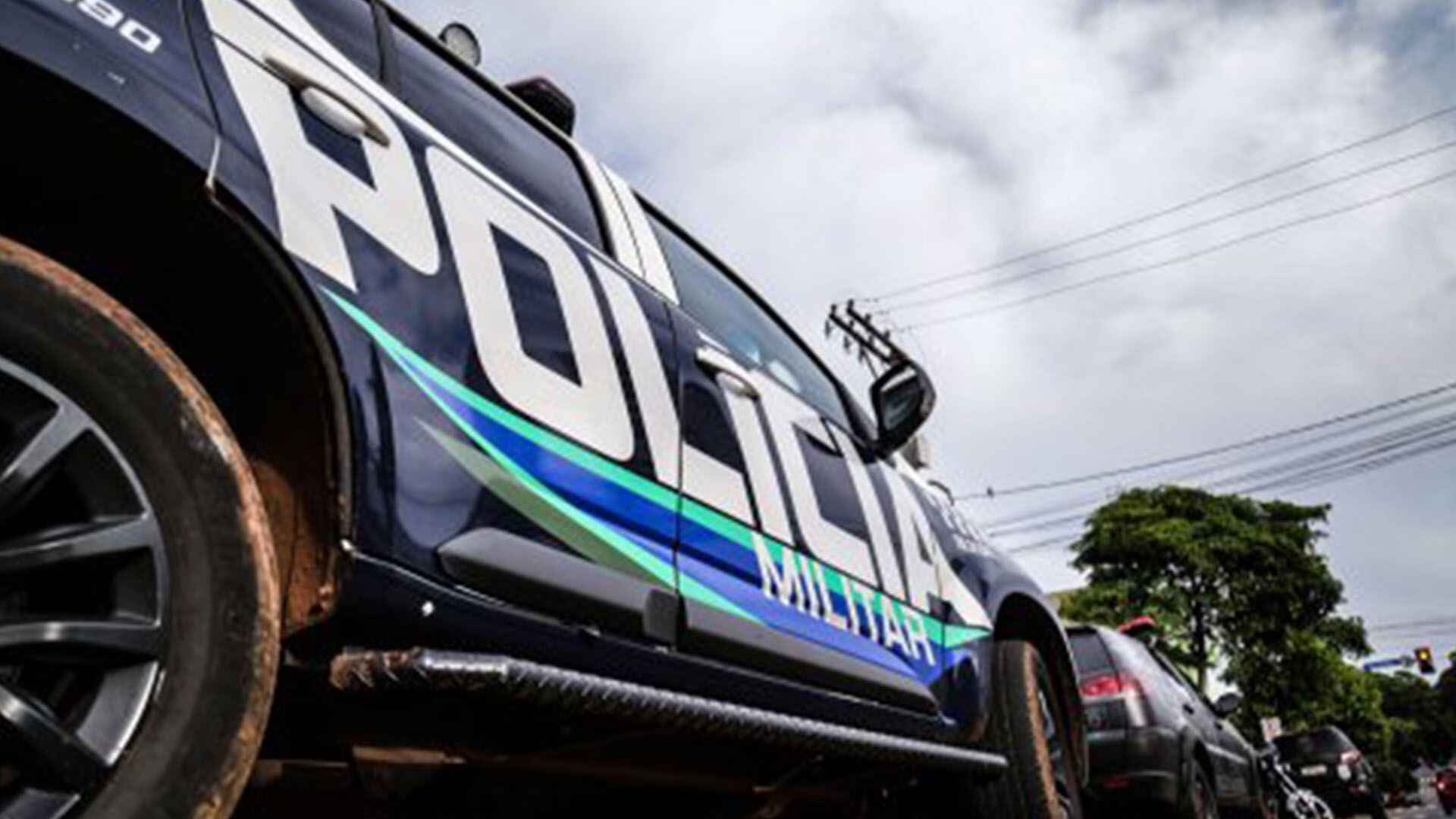 ataque-de-pitbull-desencadeia-confusao-geral-no-jardim-das-macaubas