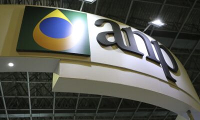 diretora-interina-assume-anp-nesta-segunda-feira