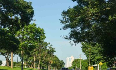 previsao-e-de-dia-quente-e-com-chance-de-chuva-em-mato-grosso-do-sul