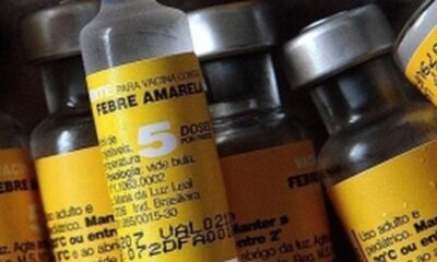 saude-confirma-casos-de-febre-amarela-em-macacos-em-municipio-paulista