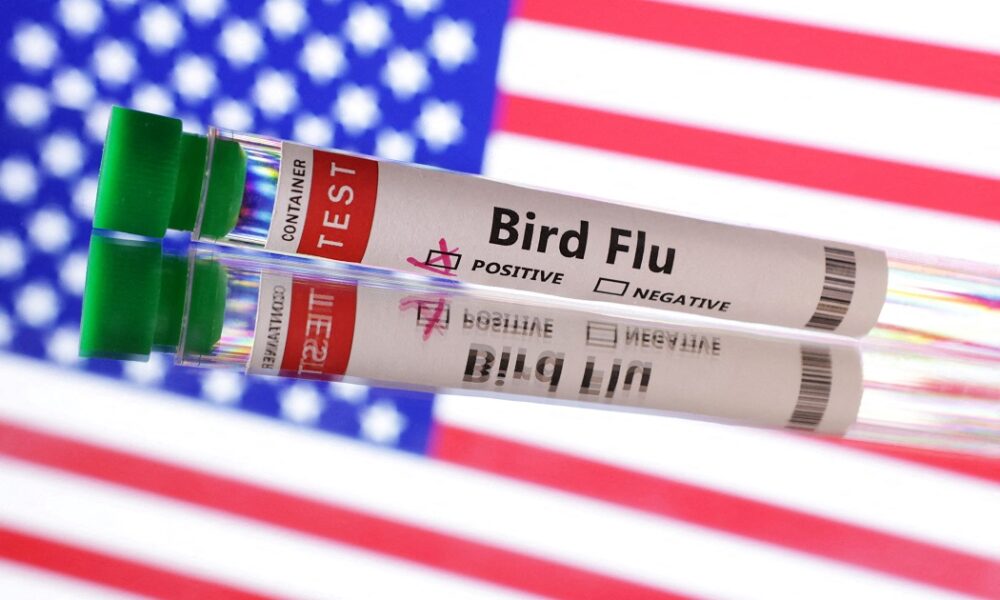 louisiana-registra-1a-morte-relacionada-a-gripe-aviaria-nos-eua,-diz-agencia