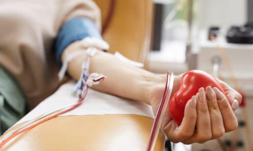 professores-aprovados-em-concurso-unem-solidariedade-e-protesto-com-doacao-de-sangue-no-hemosul