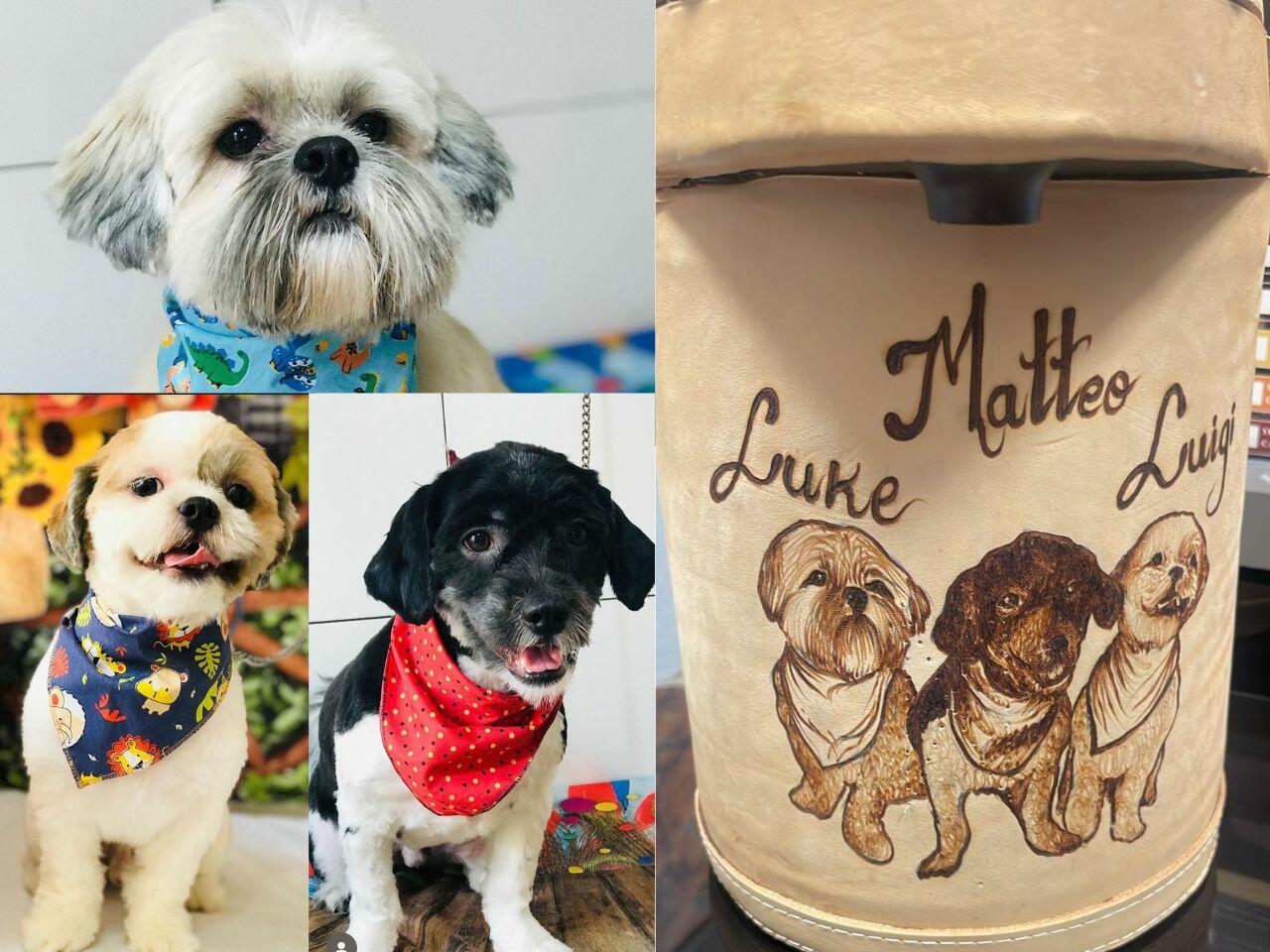 kit-terere-ganha-'nova-roupagem'-com-pirografia-e-fotos-de-pets-estampados-no-couro