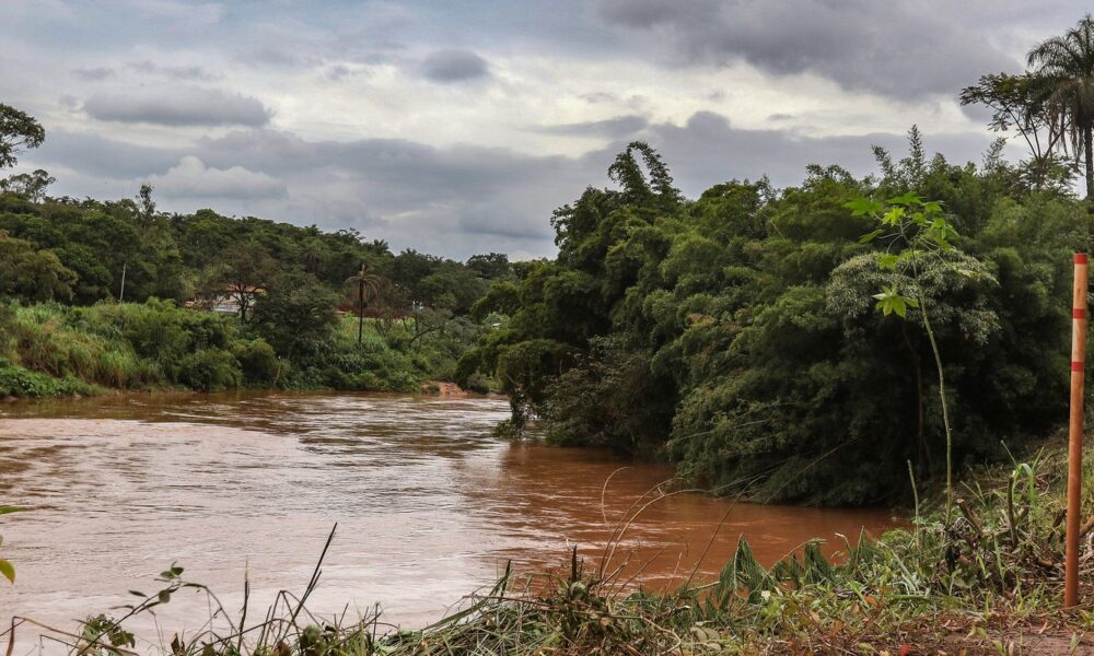 estudo-detecta-presenca-de-metais-na-urina-de-criancas-em-brumadinho