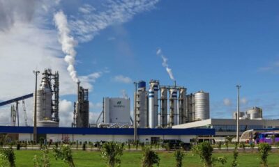 de-bombeiro-a-soldador,-produtora-de-celulose-oferta-9-vagas-de-emprego-em-ribas-do-rio-pardo-e-tres-lagoas