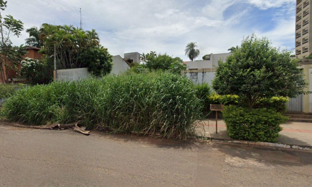 mato-transborda-em-terreno-'abandonado'-e-proprietario-volta-a-ser-multado
