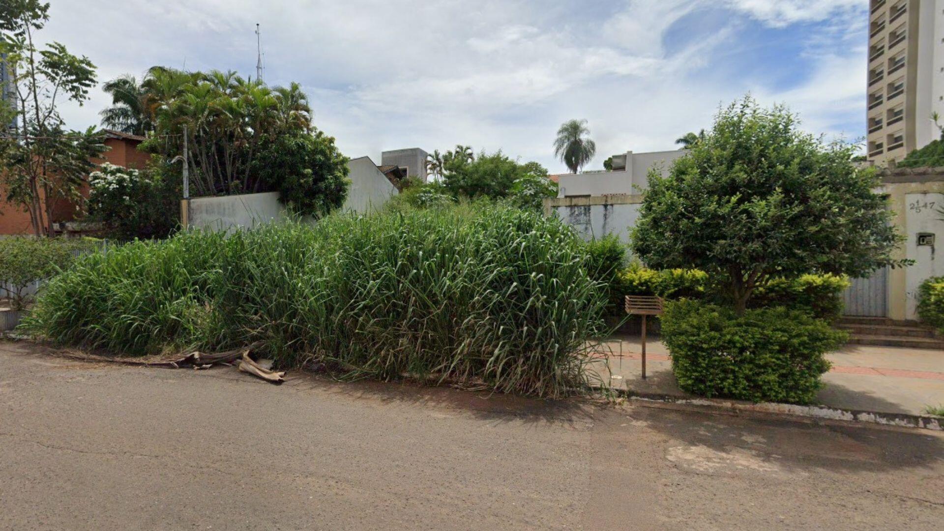 mato-transborda-em-terreno-'abandonado'-e-proprietario-volta-a-ser-multado