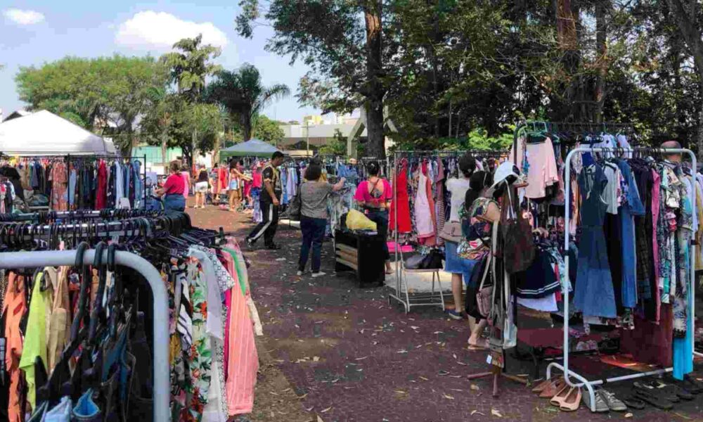 enterro-dos-ossos,-feiras-culturais-e-coletivo-de-brechos-animam-fim-de-semana-em-campo-grande