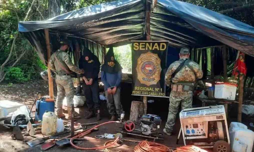 policia-desmonta-estufa-de-maconha-'vip'-e-prende-dois-colombianos-na-fronteira-com-ms
