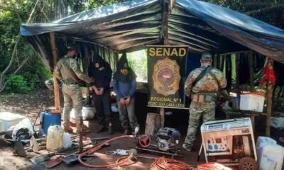 policia-desmonta-estufa-de-maconha-'vip'-e-prende-dois-colombianos-na-fronteira-com-ms