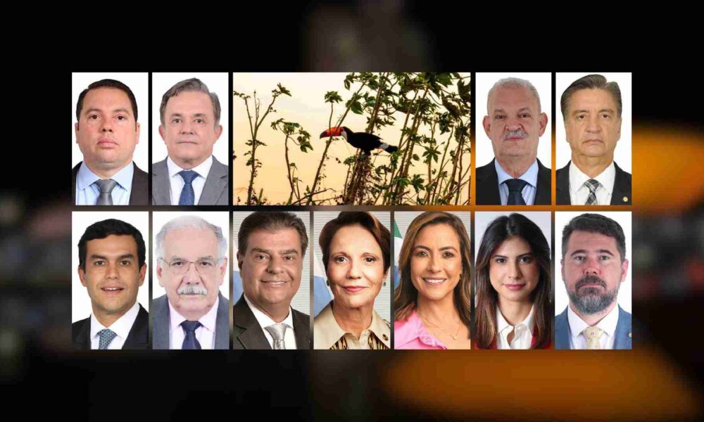 acao-conjunta-da-bancada-de-ms-pode-avancar-pec-do-pantanal-em-comissoes-da-camara