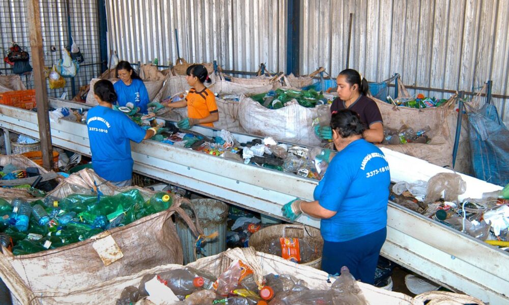 em-dois-anos,-pais-aumenta-reciclagem-de-embalagens-pet-em-14%