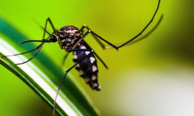 sp:-desigualdade-na-saude-concentra-nas-zonas-norte-e-leste