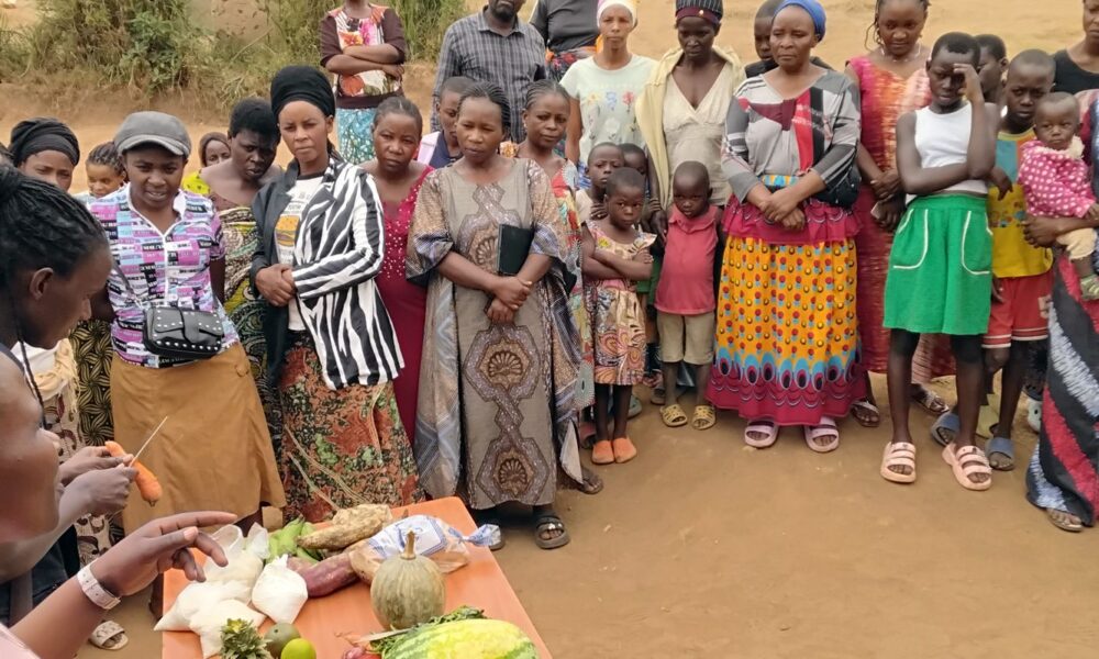 projeto-estimula-criacao-de-insetos-como-fonte-de-proteina-em-uganda