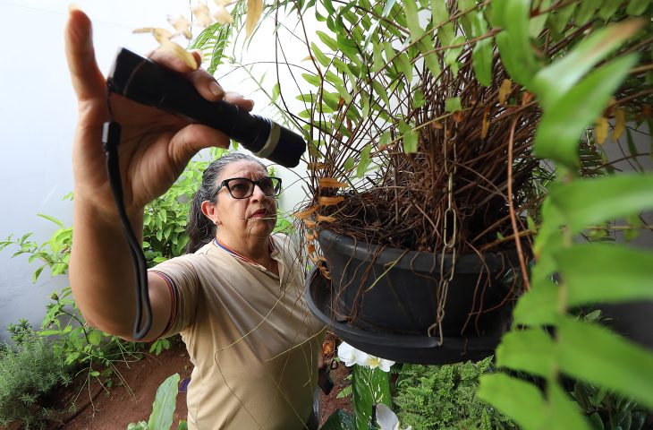 mapeamento-da-saude-revela-aumento-de-dengue-em-areas-rurais-de-ms-–-folha-de-dourados-–-noticias-de-dourados-ms-e-regiao
