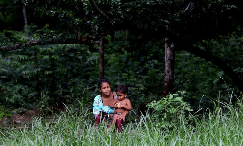 preservacao-de-biomas-em-terras-indigenas-e-31%-maior,-diz-isa 