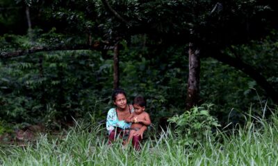 preservacao-de-biomas-em-terras-indigenas-e-31%-maior,-diz-isa 